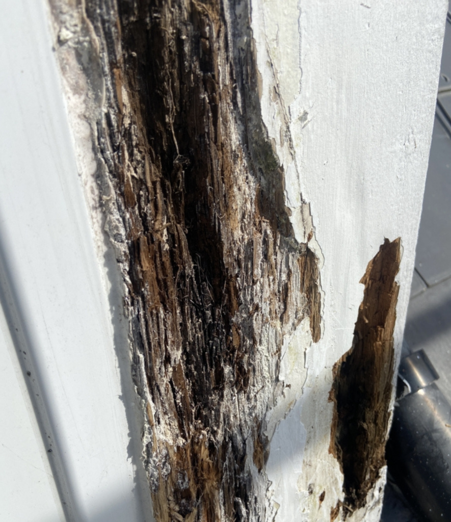 Dry Rot Solutions in West Sussex