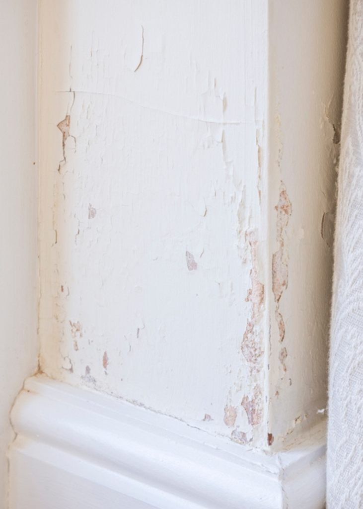 First Call Heritage Ltd rising damp